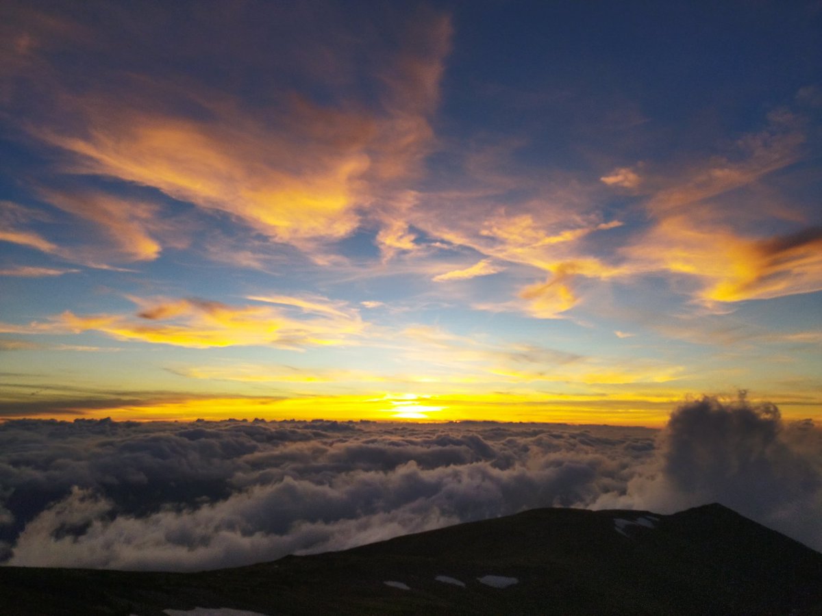 SyntaxMachine's tweet image. ALT