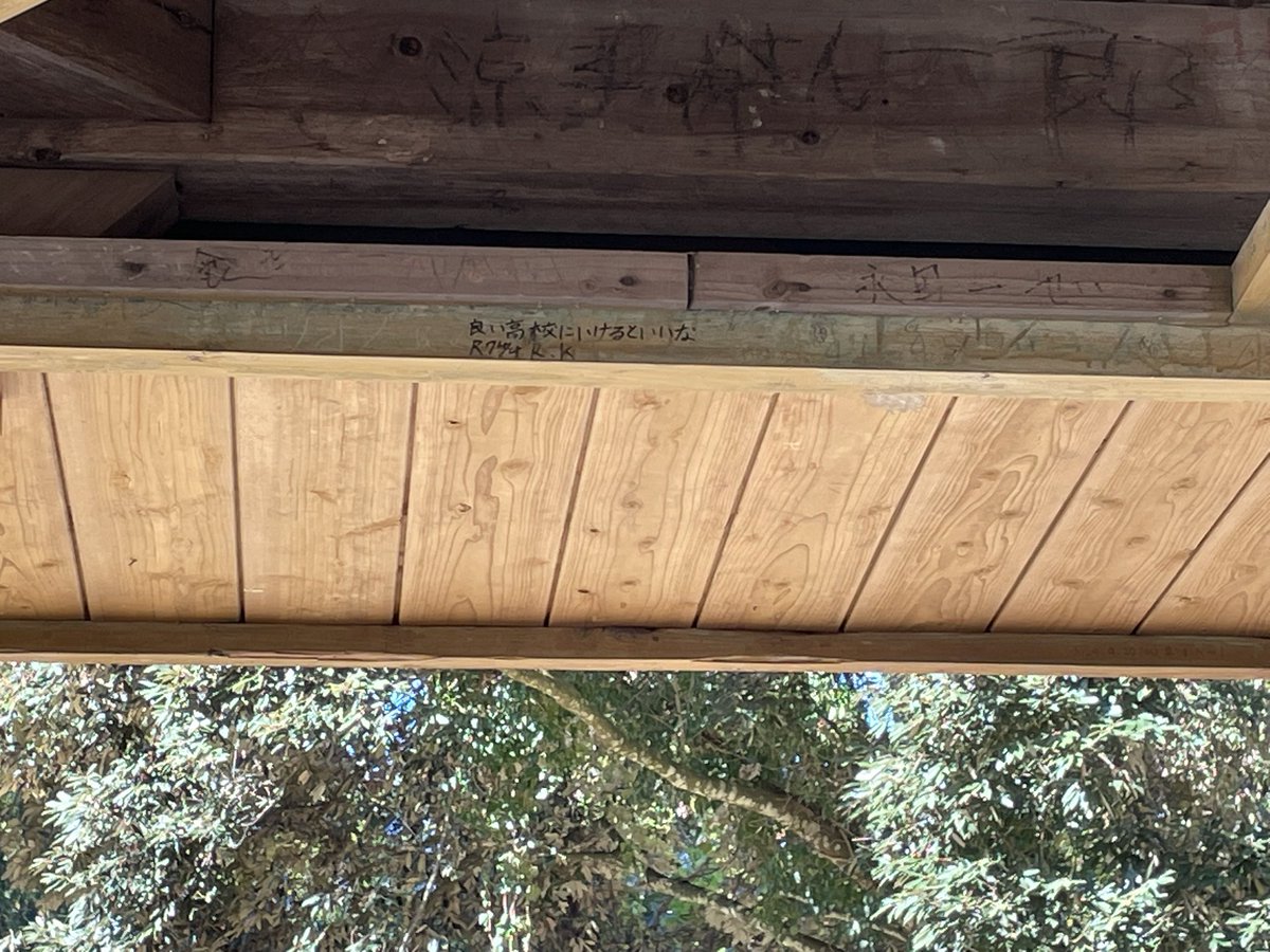 この様子じゃ無理だろと思うだけじゃ飽き足らず声に出してしまってごめんよ

 #人吉城跡