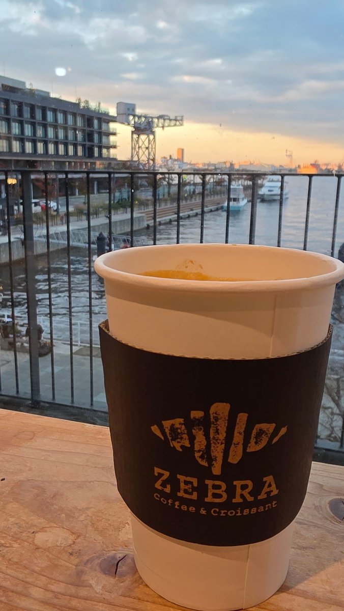 cocoa__yu's tweet image. ZEBRA