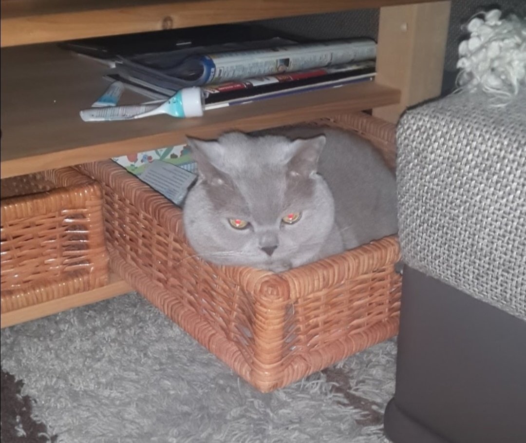 Guten Morgen Freunde #Twitterrudel,  28 Wochen oder ein ½ Jahr und ein paar Tage bin ich nun schon hinter dem 🌈. Danke, dass ihr immer noch an mich denkt ❤️.
Ich wünsche euch ein schönes Wochenende, passt gut auf euch auf 🍀, liebe Grüße, euer 🌈Toni 😘