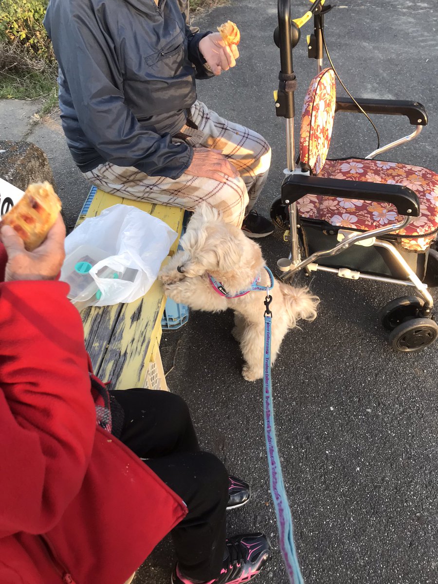 ☆COCO☆ページ✩.*˚サンキャッチャー ☆COCO☆ページ✩.*˚サンキャッチャー ☆COCO☆ページ✩.*˚