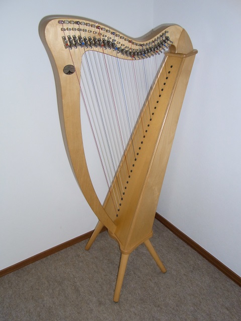 salvi TAITAN サルビ タイタン アイリッシュハープ 中古 salvi TAITAN