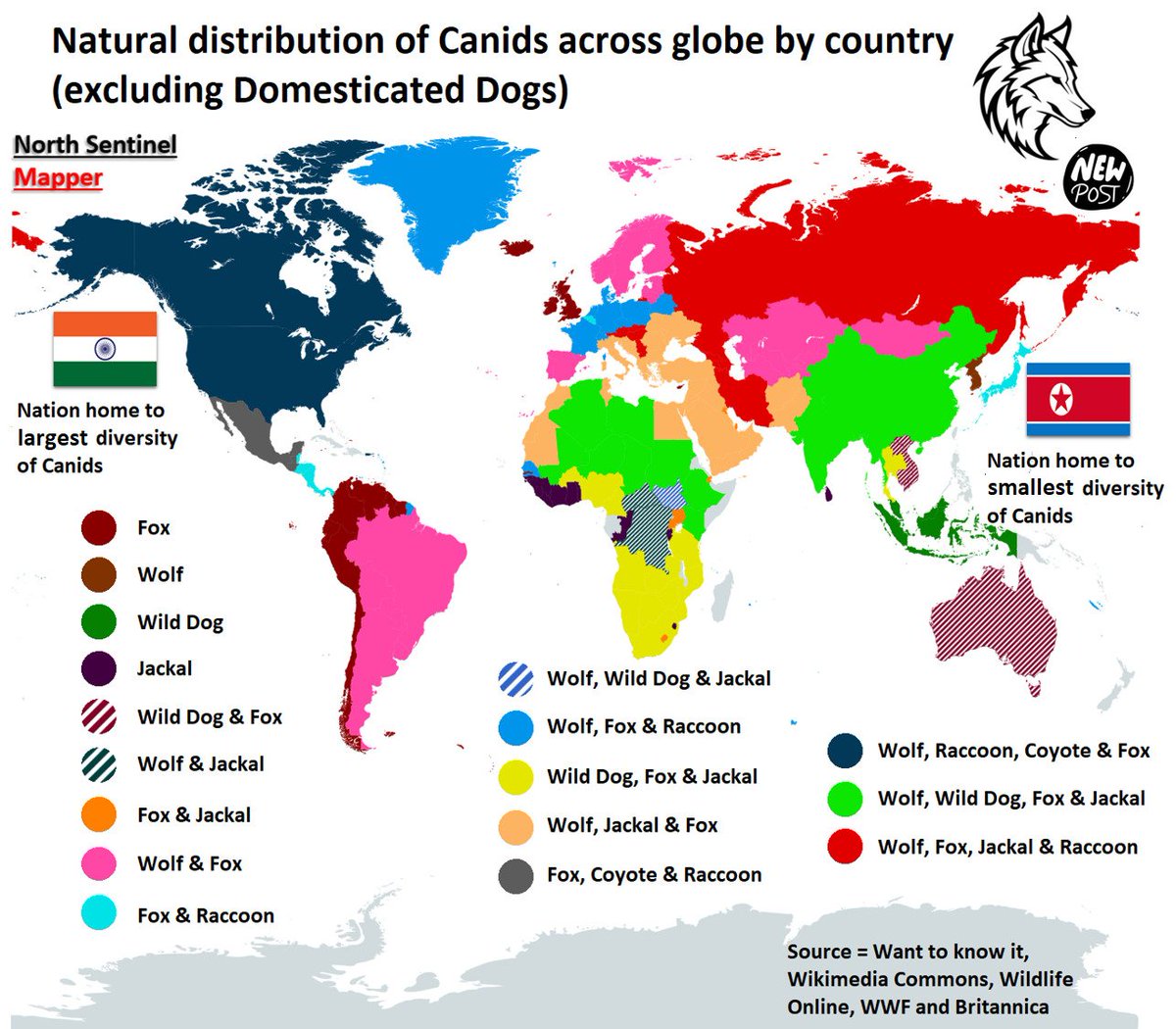 Natural distribution of Canids across Globe (excluding Domesticated Dog) 🐺🌎
Source = Want to know it, Wikimedia Commons, Wildlife Online, WWF and Britannica

● Wolf ->
01. India 🇮🇳
02. China 🇨🇳
03. United States 🇺🇸
04. Canada 🇨🇦
05. Russia 🇷🇺
06. Norway 🇳🇴
07. Sweden 🇸🇪
08.