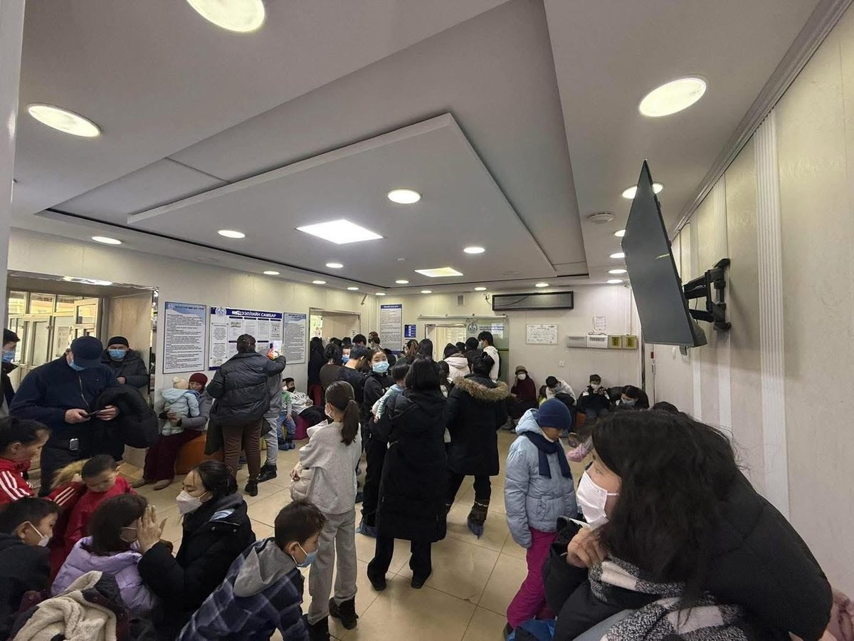 ХӨСҮТ-ийн мэдээлснээр яг одоо дэгдээд буй ханиад нь томууны А хүрээний H2N3 вирус ба энэ нь хоруу чанар маш өндөртэй. Шууд 38-41, 42 хүртэл халуурах шинж тэмдгээр эхэлж, удалгүй гүйлгэж, бөөлжүүлэх зэрэг хордлогын шинж тэмдгээр үргэлжлэн, богино хугацаанд уушгины хатгалгаа болдог