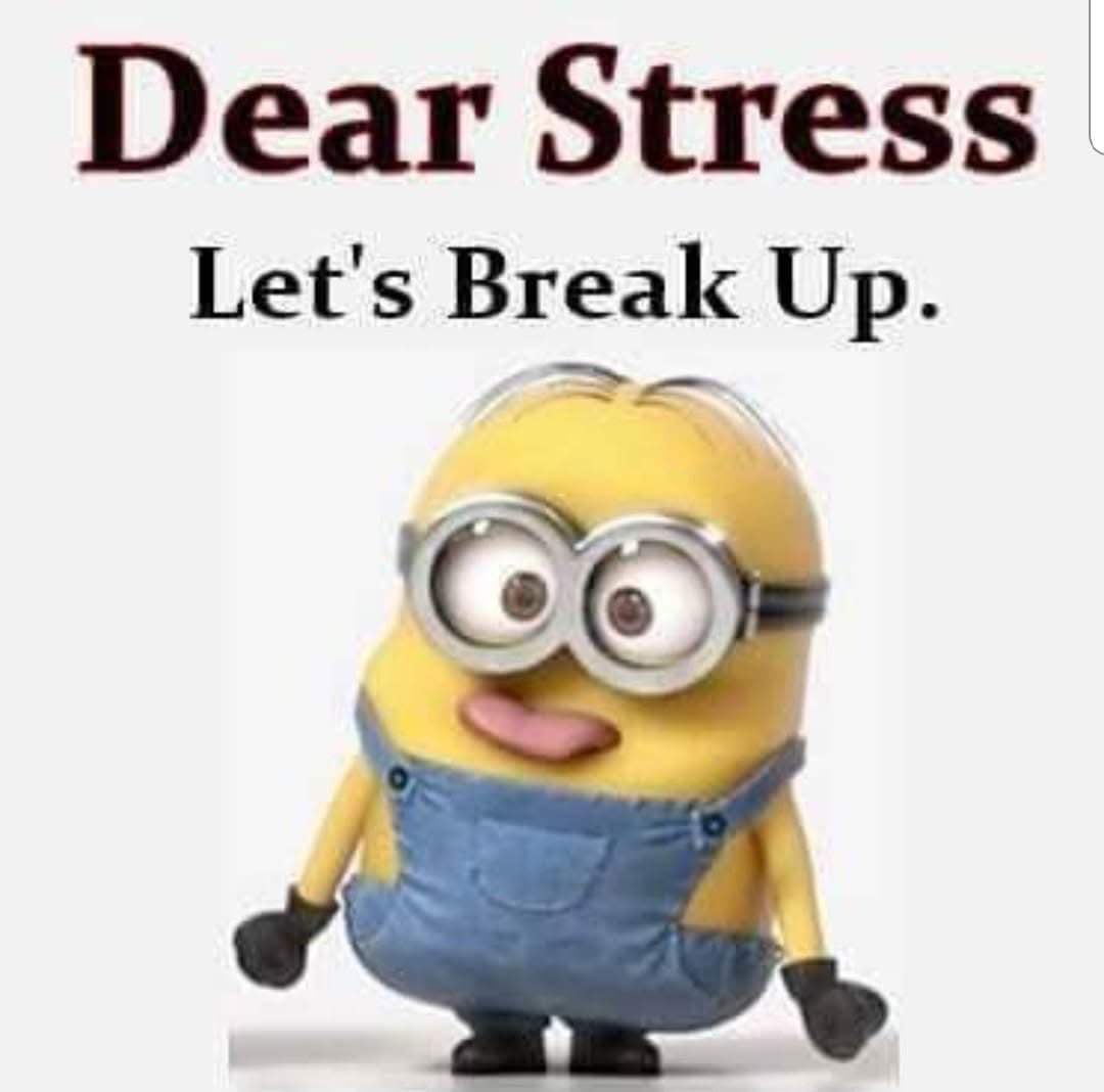 Vickie Roark tweet media