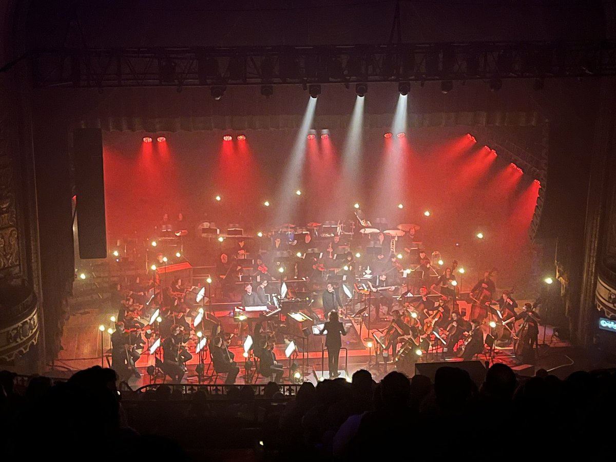 Little Ursa tweet media