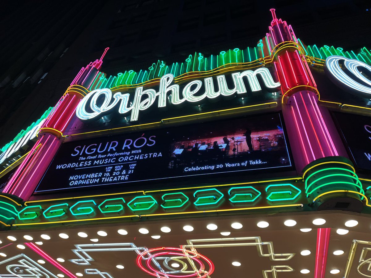 Little Ursa tweet media