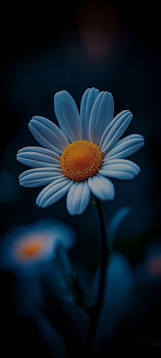 ♡さん　iPhone iPhone