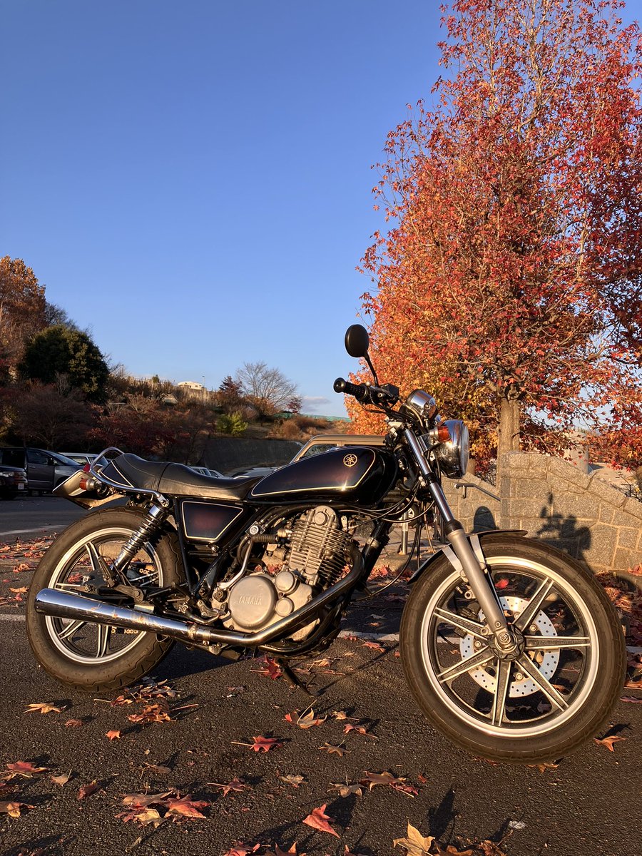 翔 (@hwxshv) / Posts / X