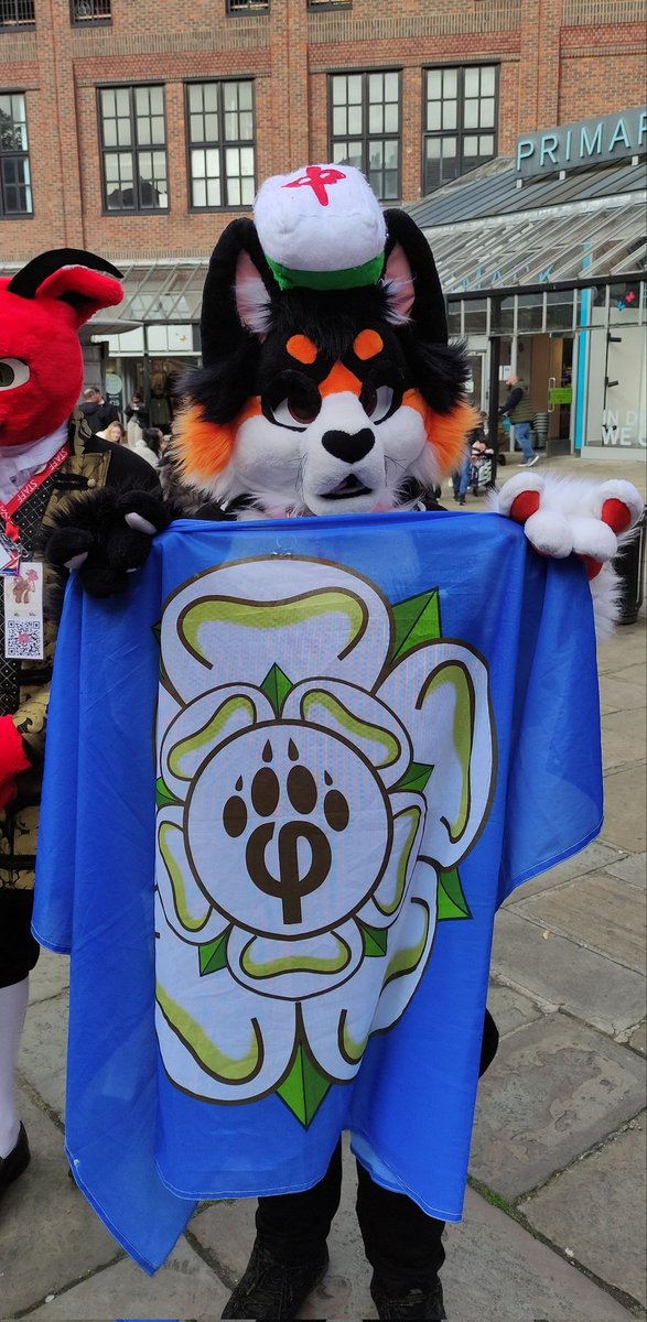Oops late for #FursuitFriday (as normal) showing love for my "home" meet of <a href="/york_furs/">YorkFurs</a>

📸 @/Seadrag.com (blue sky)