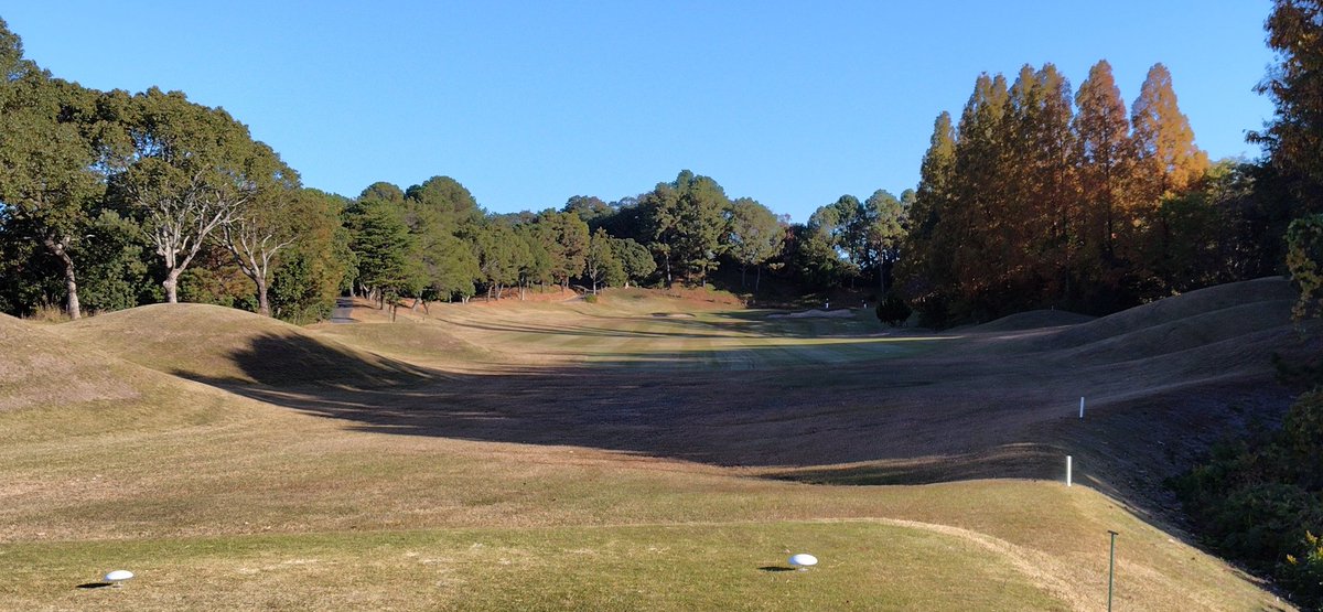 SPADA502's tweet image. 練習場ではウッド系もだいぶ良くなってきたと思ったのになぁ。
コースではイマイチ。でも以前よりは良くなってきてる気がする🤔

OB2、砂6で、アプローチとパターがよくなかったらまぁこんなものかな。パーも取れなかったし🤔

自宅でのパタ練アプ練をサボってるからだな、きっと🤔

#ゴルフ好き