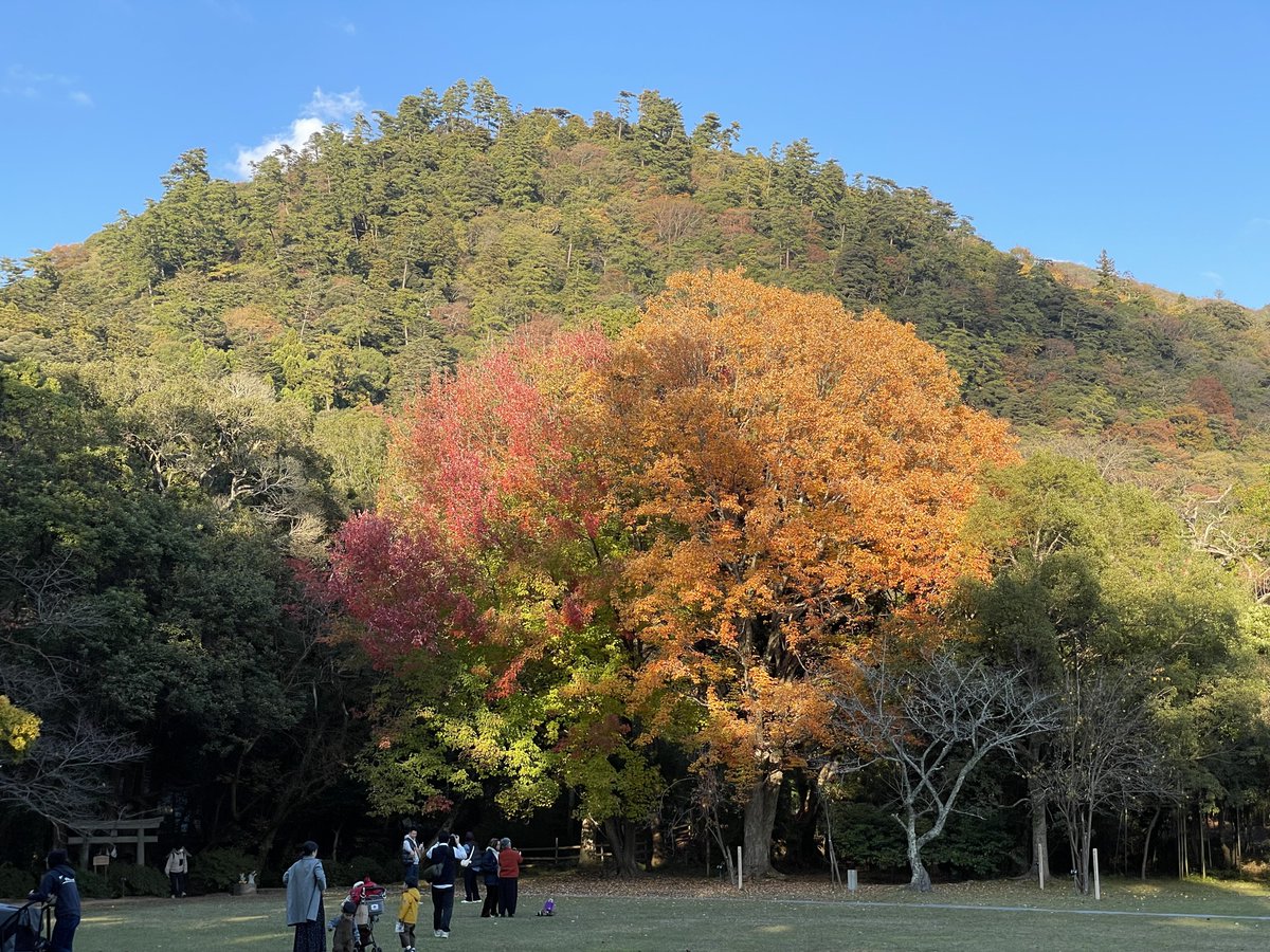 templateT's tweet photo. 紅葉狩りがてら出雲へ。 https://t.co/dcYq35KFIL