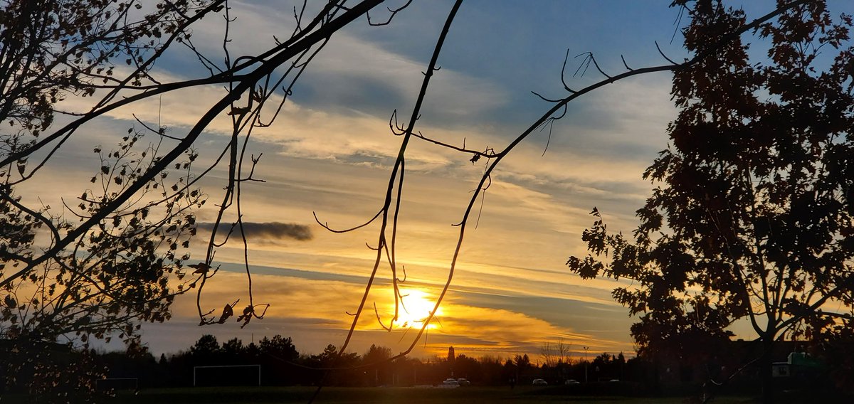 jacquesLeStrap1's tweet image. Why tree shots ? #Sunset #Clouds #keepitsmooth