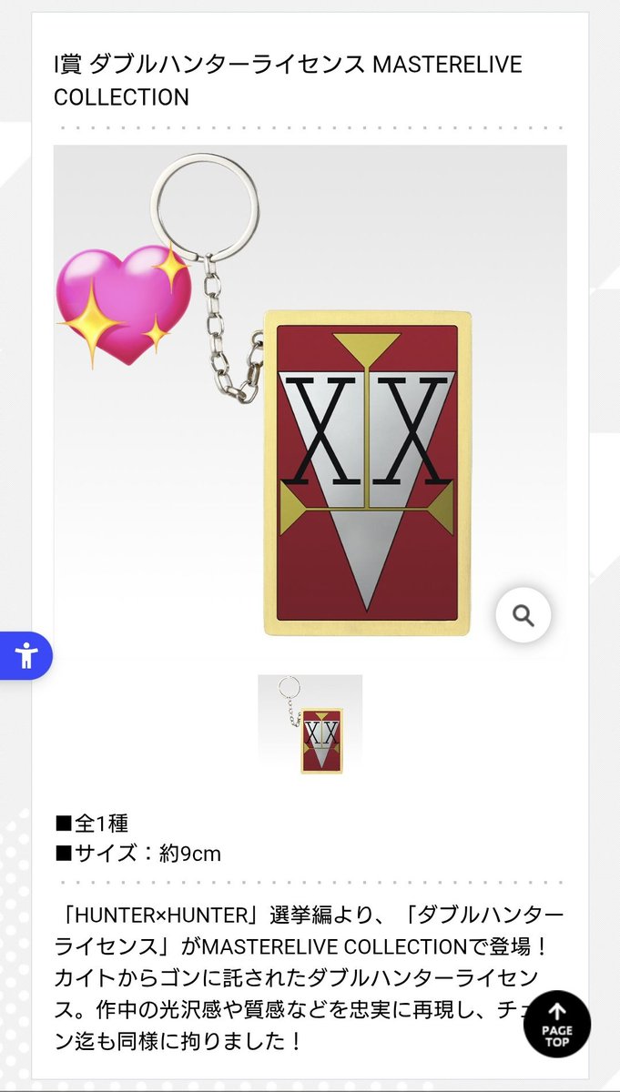 HUNTER × HUNTER 一番くじ I賞 ダブルハンターライセンス 全