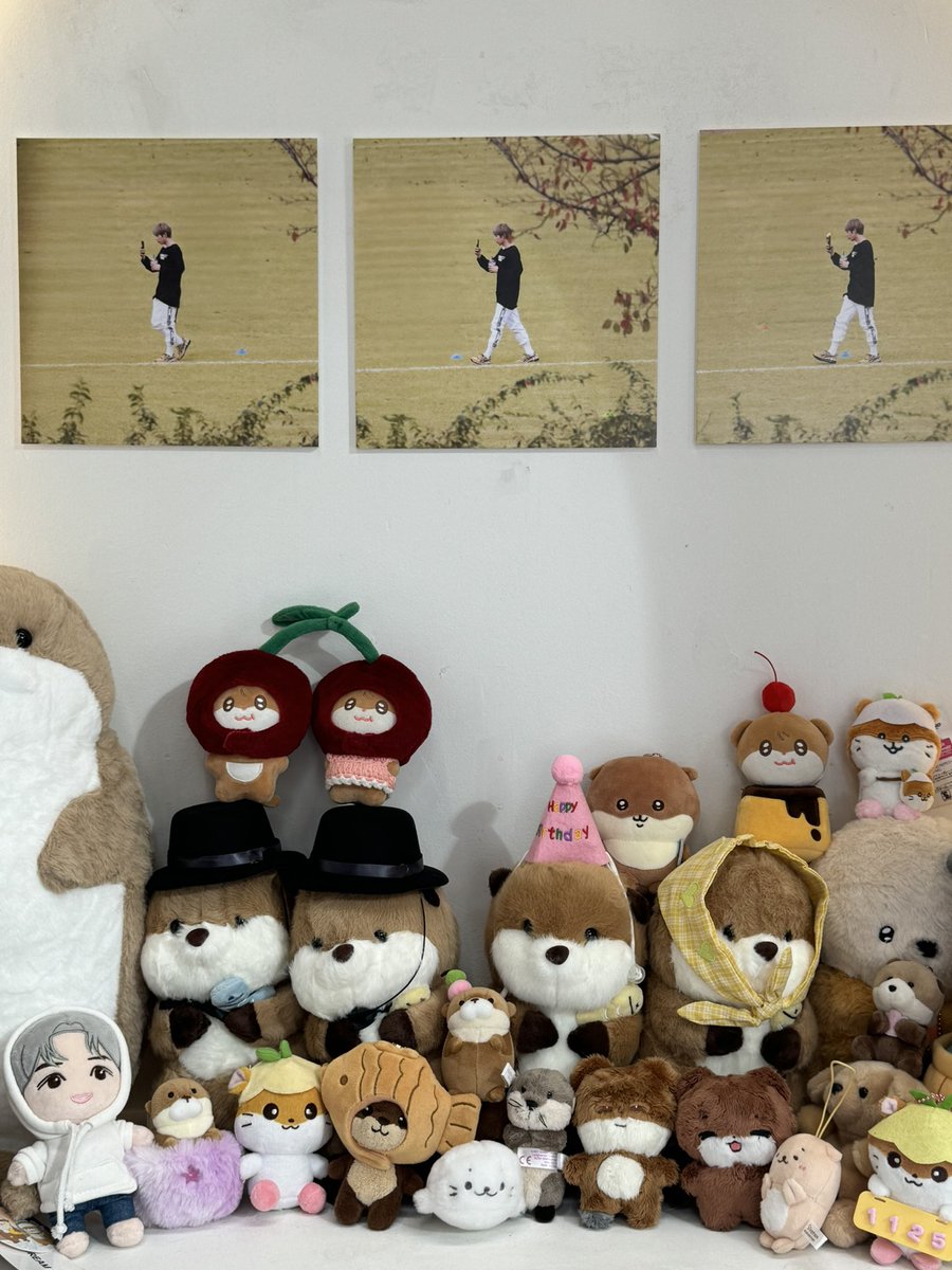 #타로의푸딩관찰노트
#TarosPuddingLog