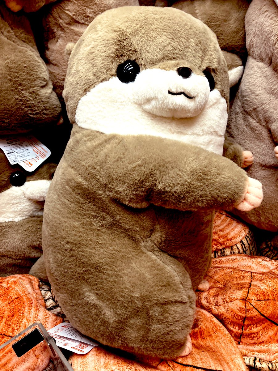 A カワウソの赤ちゃん ハグハグ ウルトラBIG 2種類セット タグ付き