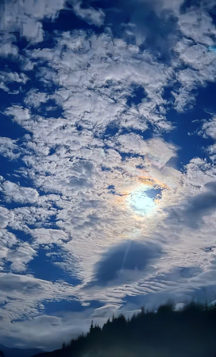 Amenouboy's tweet image. Gm ☕ 🤍

Be honest are you happy with this market Dumps