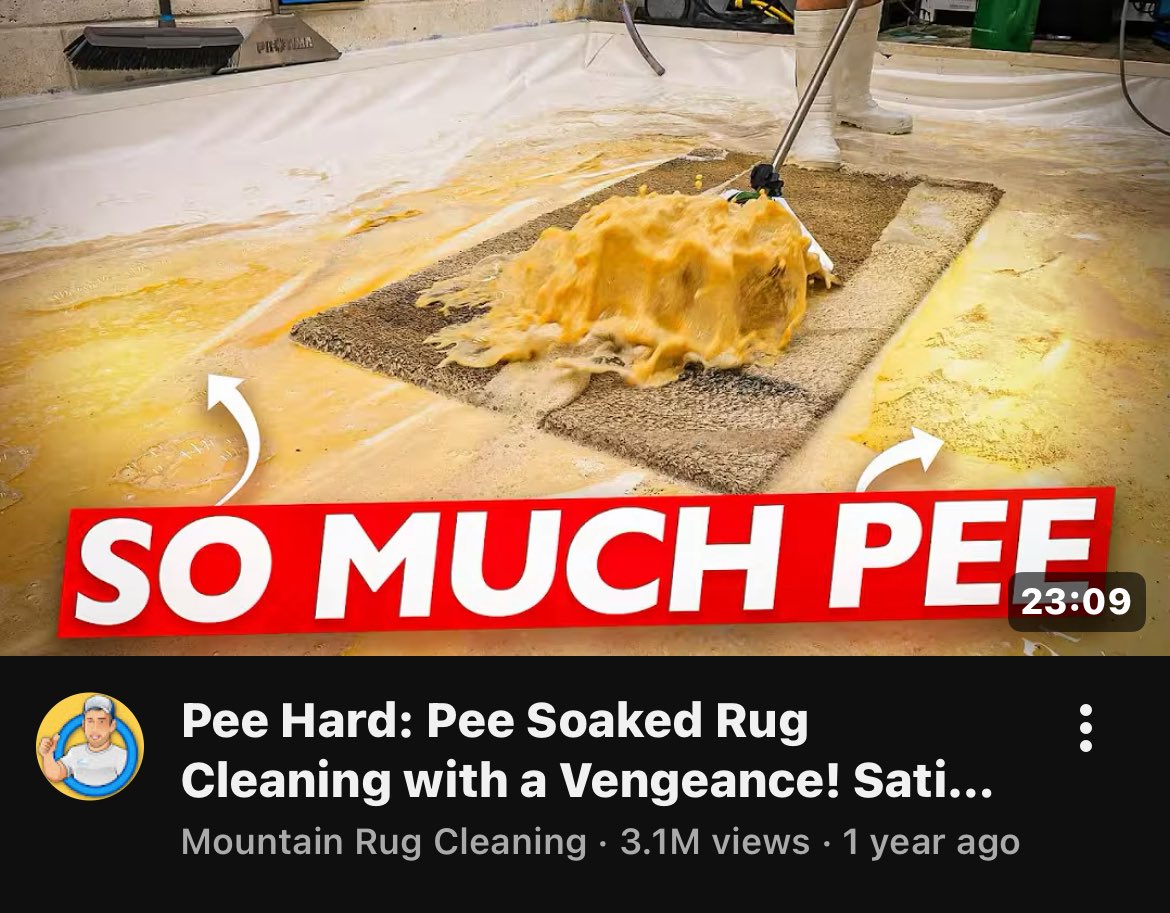 touhouperc's tweet image. a few oomfs r ugs