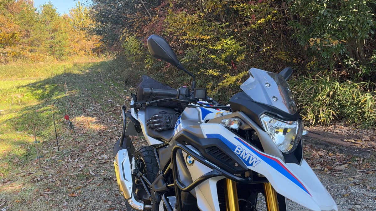 BlueG310gs's tweet photo. 久々の林道😊 https://t.co/PzUP6R7hn3