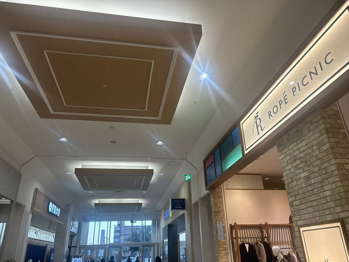 ミカズキン🌙今日もいつも通り！ (@mush_emperor) / Posts / X