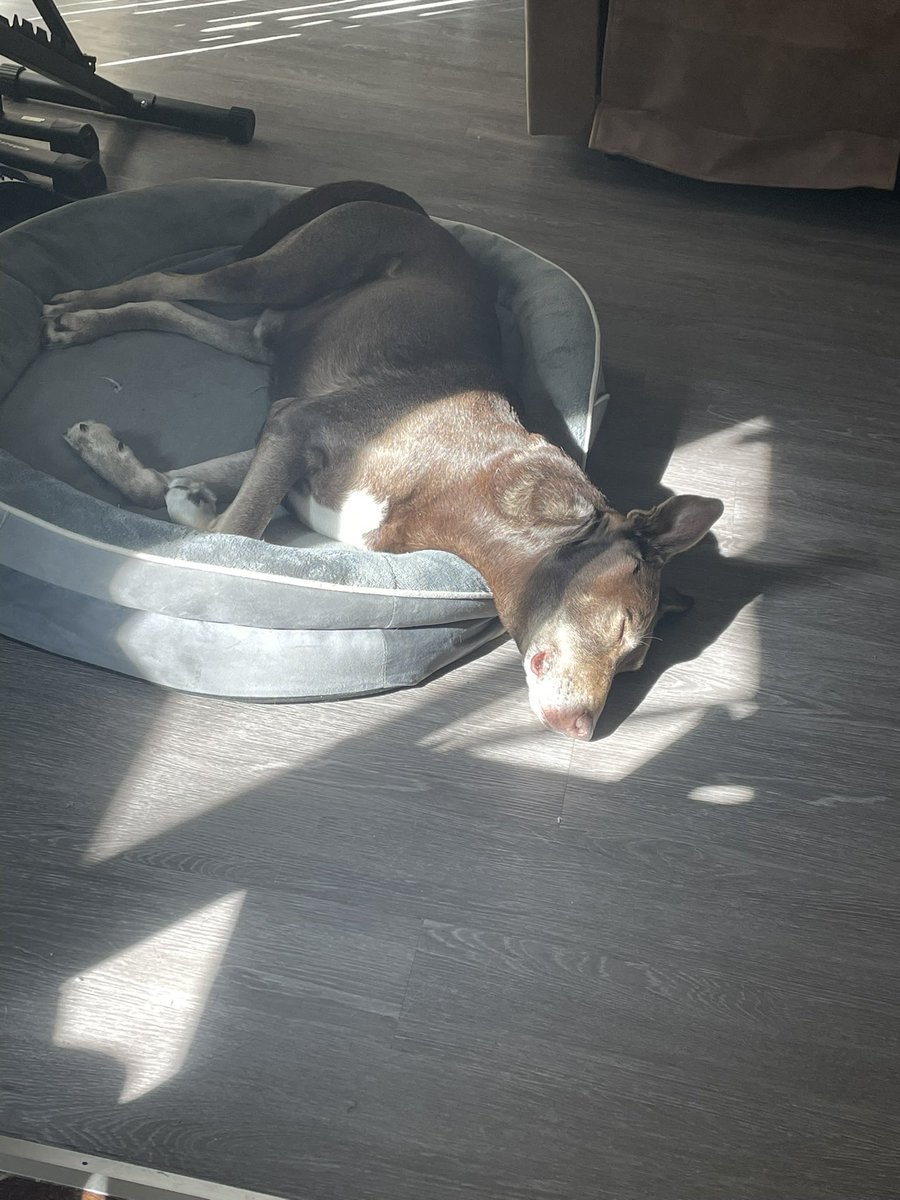 Katie 😊 tweet media