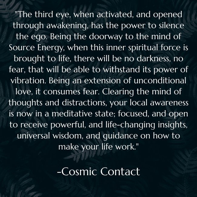 JiulioConsiglio's tweet image. An excerpt from Cosmic Contact
#thirdeye #stillness #egodeath
#bookquotes #newearth