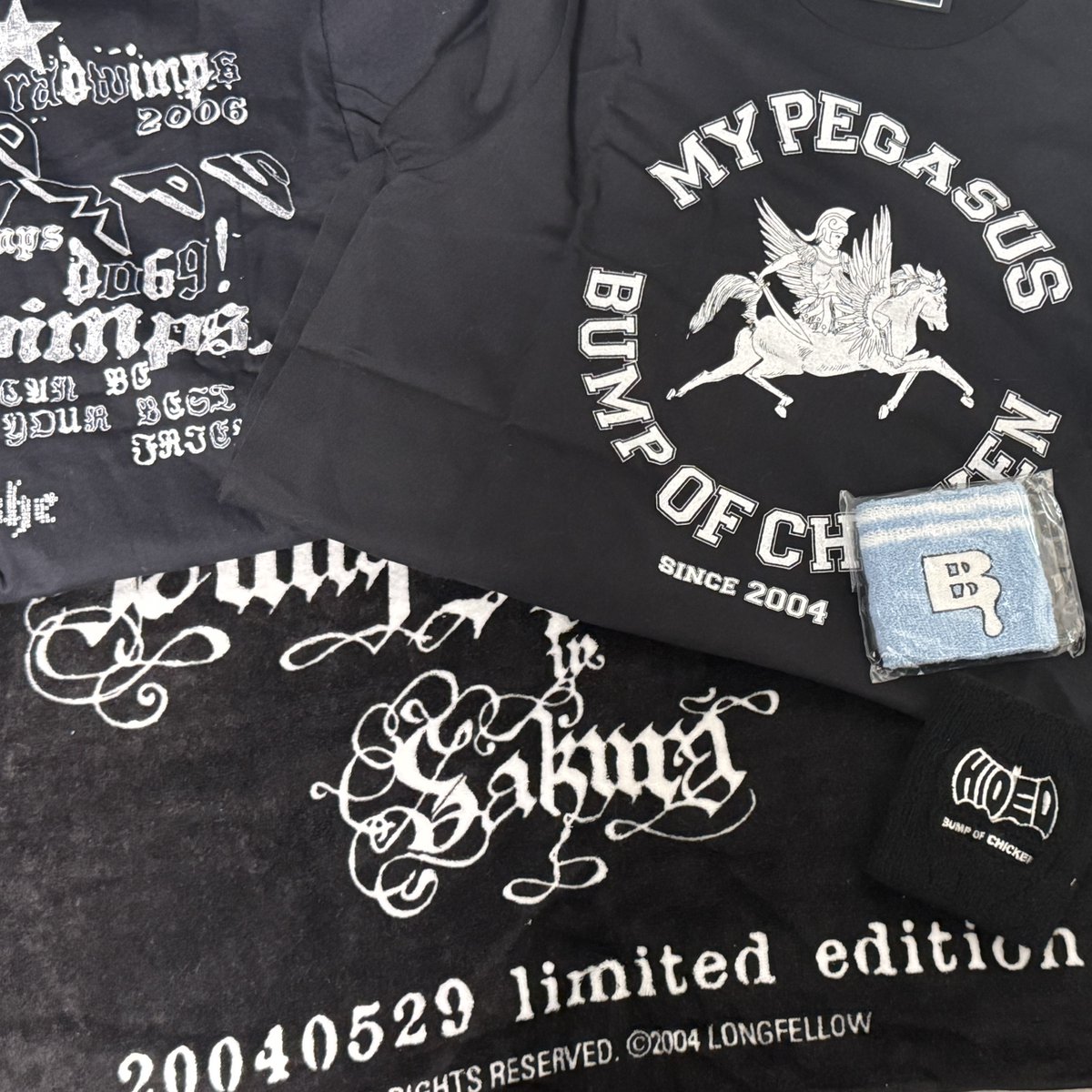 懐かしくてTシャツやタオルしまってる箱開けた。昔のものはほとんど