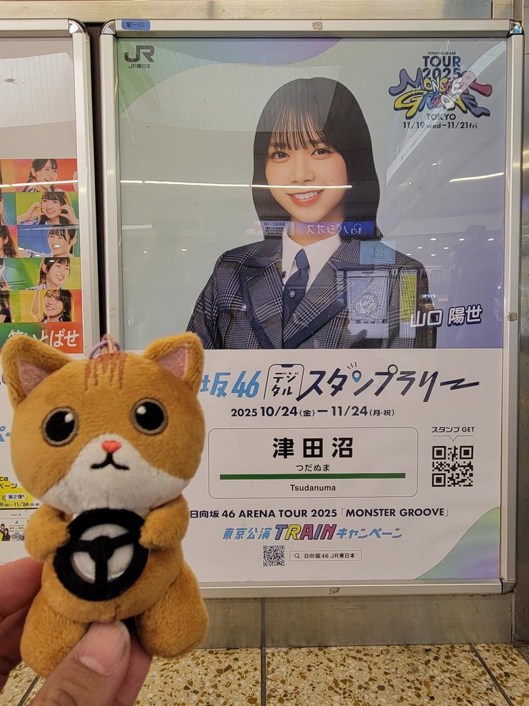 Post by しょしょ☆☀️ 🐱🐨 on X: ぱるちゃんだ🤭