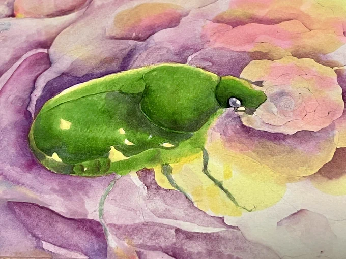 生き物描くの楽しい