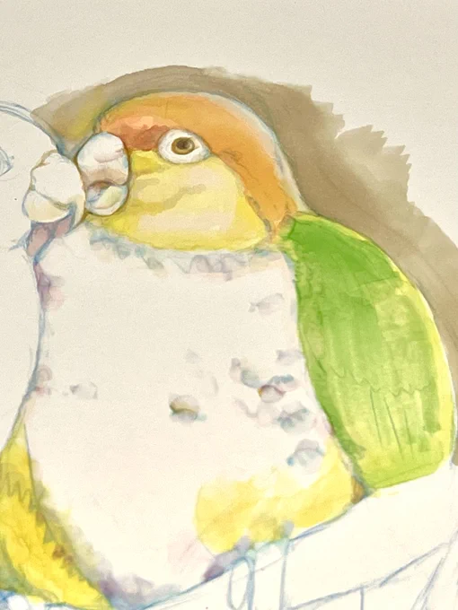 生き物描くの楽しい