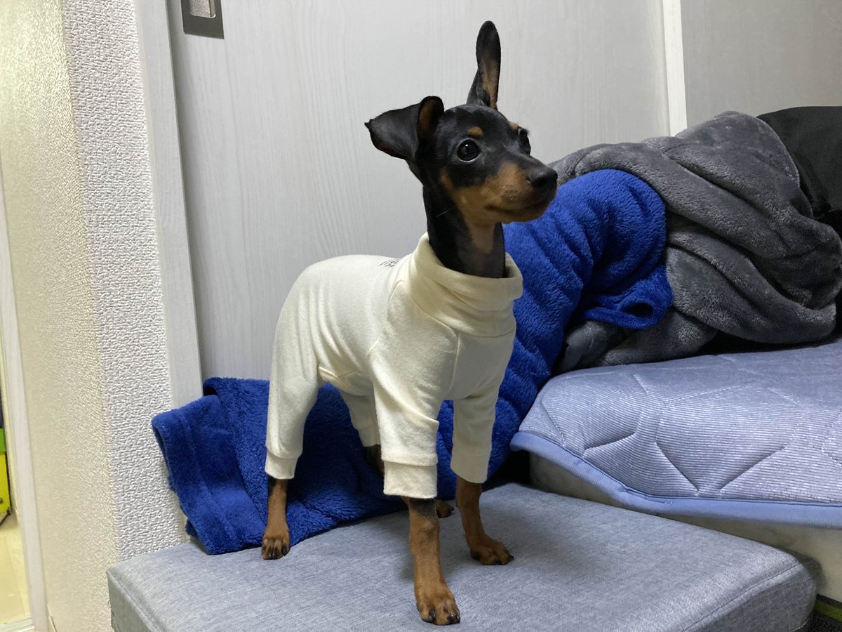 ポンコツ太郎 (@ponkotutarou00) / Posts / X