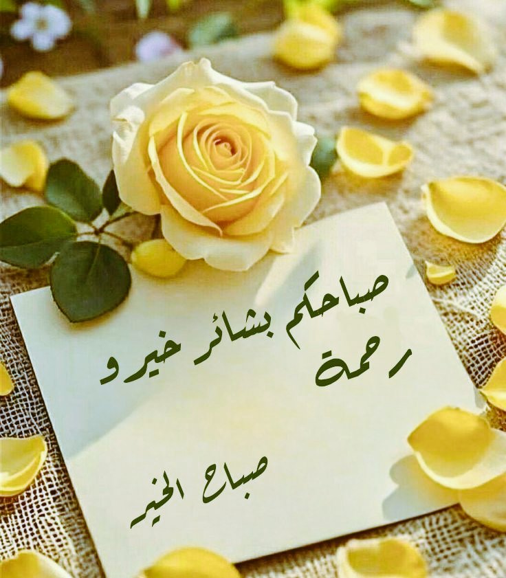 اللهم بحق لا إله إلا الله وثقلها في الميزان وبكل أسمائك الحسنى وعظمتها وصفاتك العلى، اللهم يا من يقول للشيء كن فيكون حقق رجاءنا وغير أحوالنا وأقدارنا إلى أفضل حال، وتريح بالنا. وتحفظ اولادنا وأن تشفي مرضانا  و ترحم وتغفر لموتانا وموتى المسلمين  آمين 🤲🏻 💛