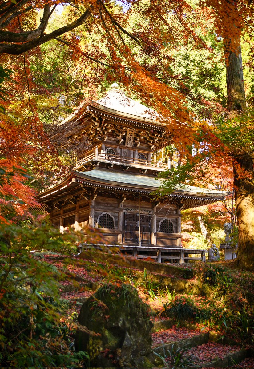 あんのうん01 (@unknown001z) / Posts / X