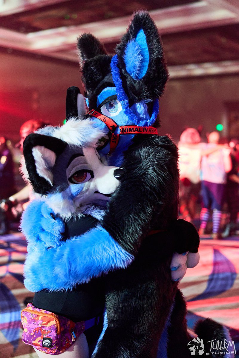 SkyeTheHoosk's tweet photo. Dancing the night away into the weekend with @FluffyHowL at #MP2025 for #FursuitFriday such an amazing night!
ЁЯжК @FluffyHowL
ЁЯУН #Megaplex2025 https://t.co/B8ZqHYKtsZ