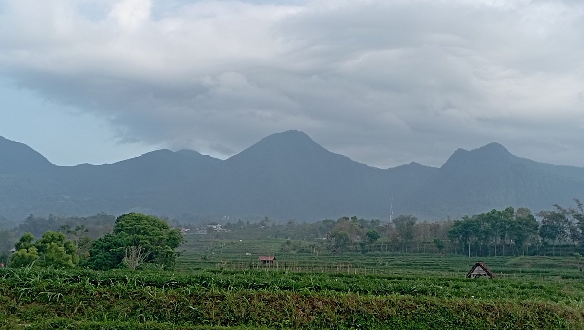 dian154810's tweet image. Selamat pagi 
#pagi