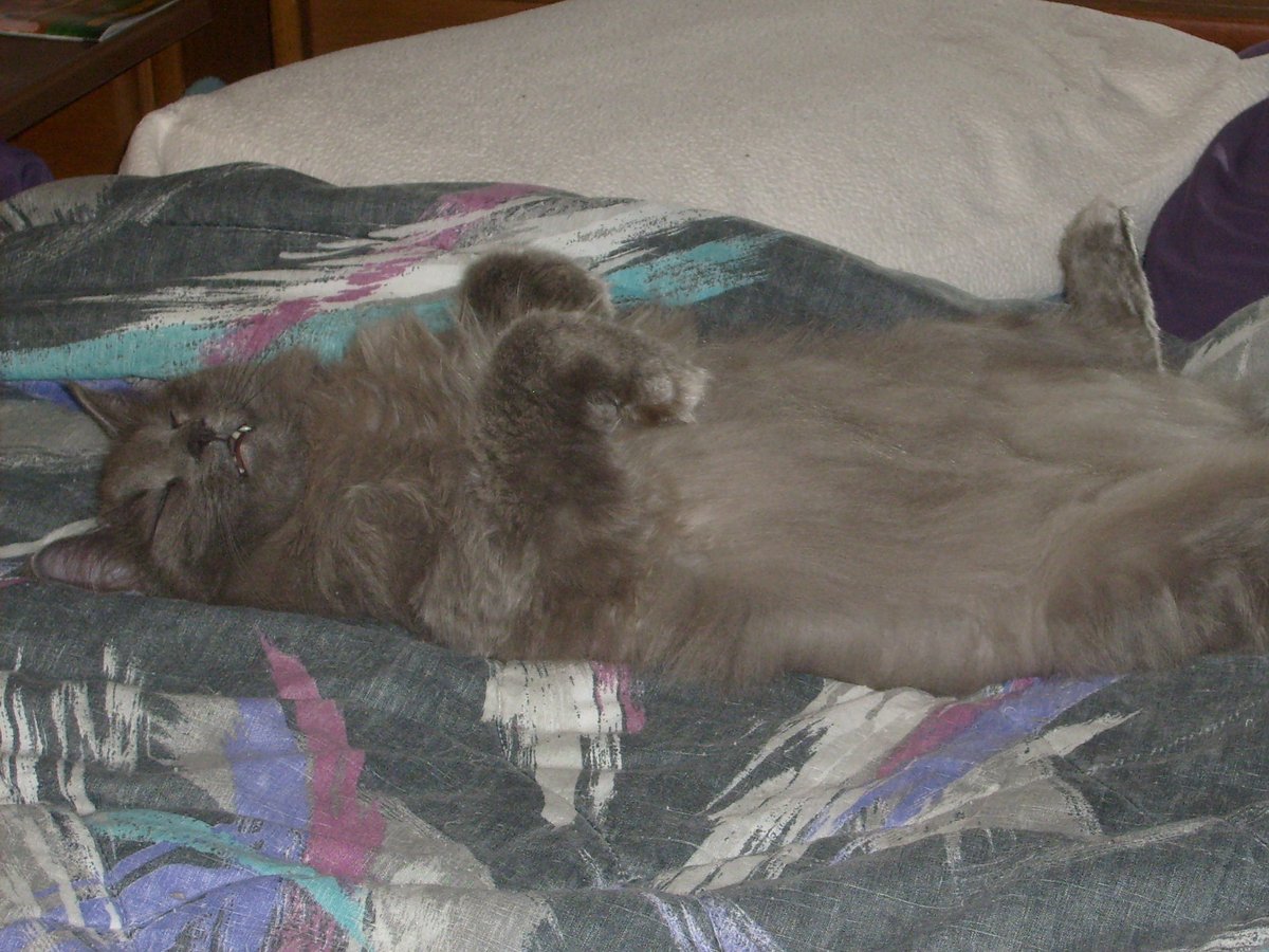 Holly B. tweet media