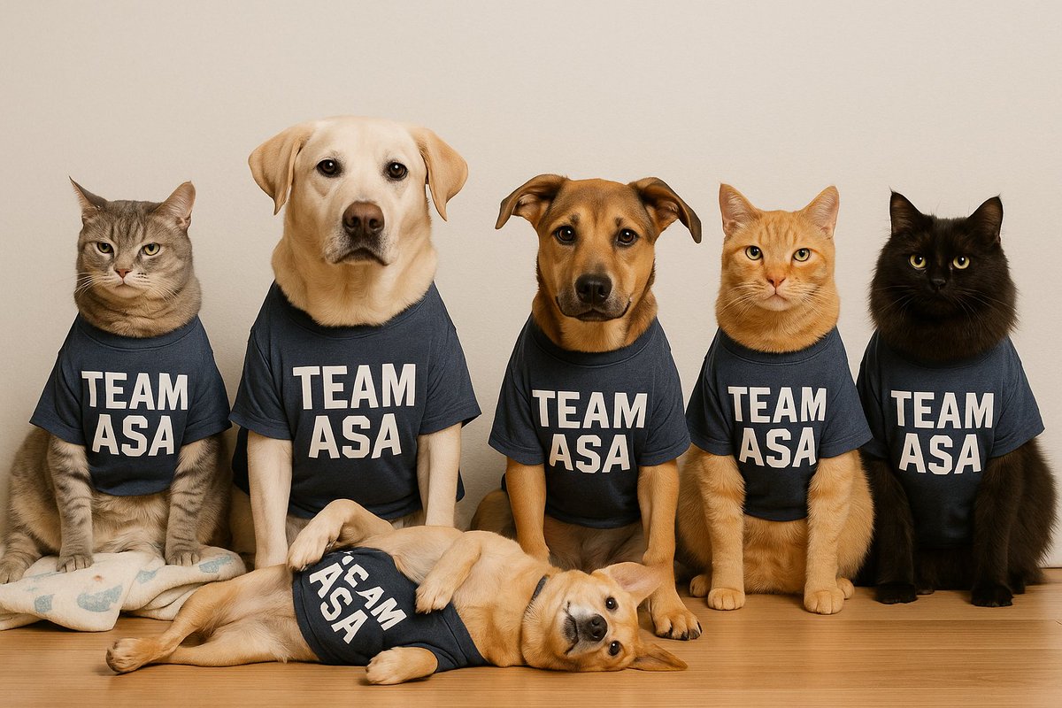 DogsRAngels1's tweet photo. @MaineGolden ๐ซกTeam Asa, reporting for duty! 24 paws in!๐พ
(forgive Reagan for laying down on the job=)
We love ya pal, you've got this!
#TeamAsa #PawsinforAsa #dogsofX https://t.co/oW4j3YcuZv