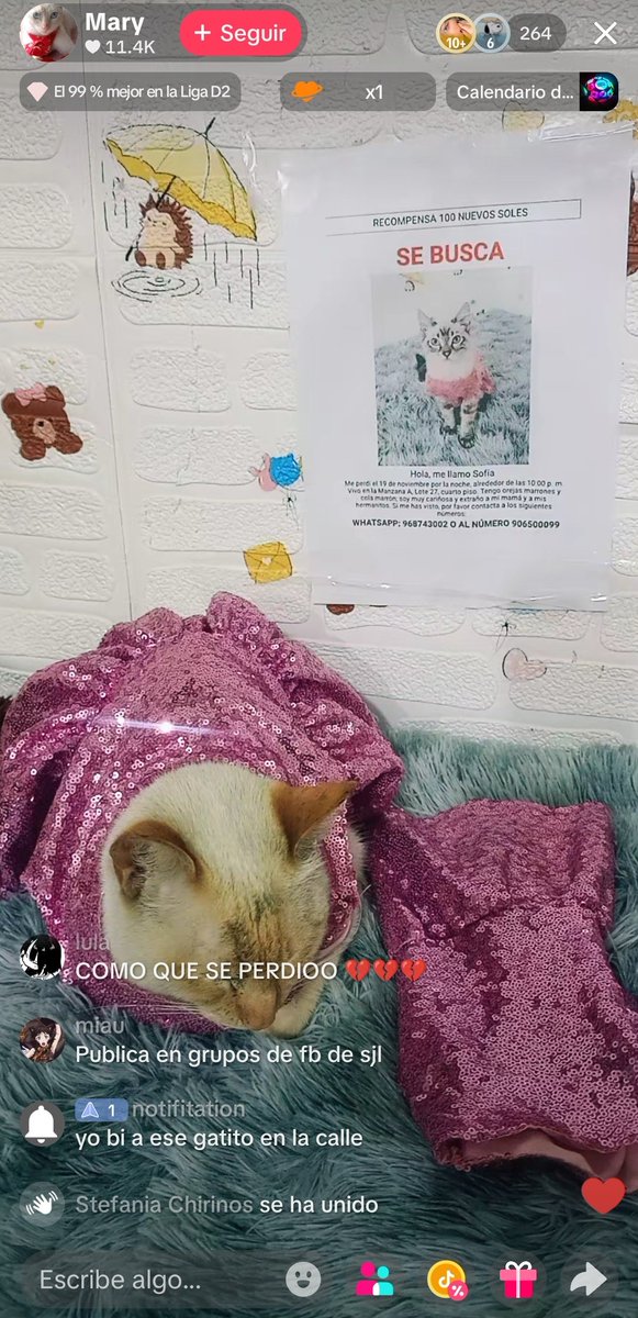 apoco_sipa's tweet image. Me pone muy triste que Sofía esté perdida ojalá aparezca pronto:(