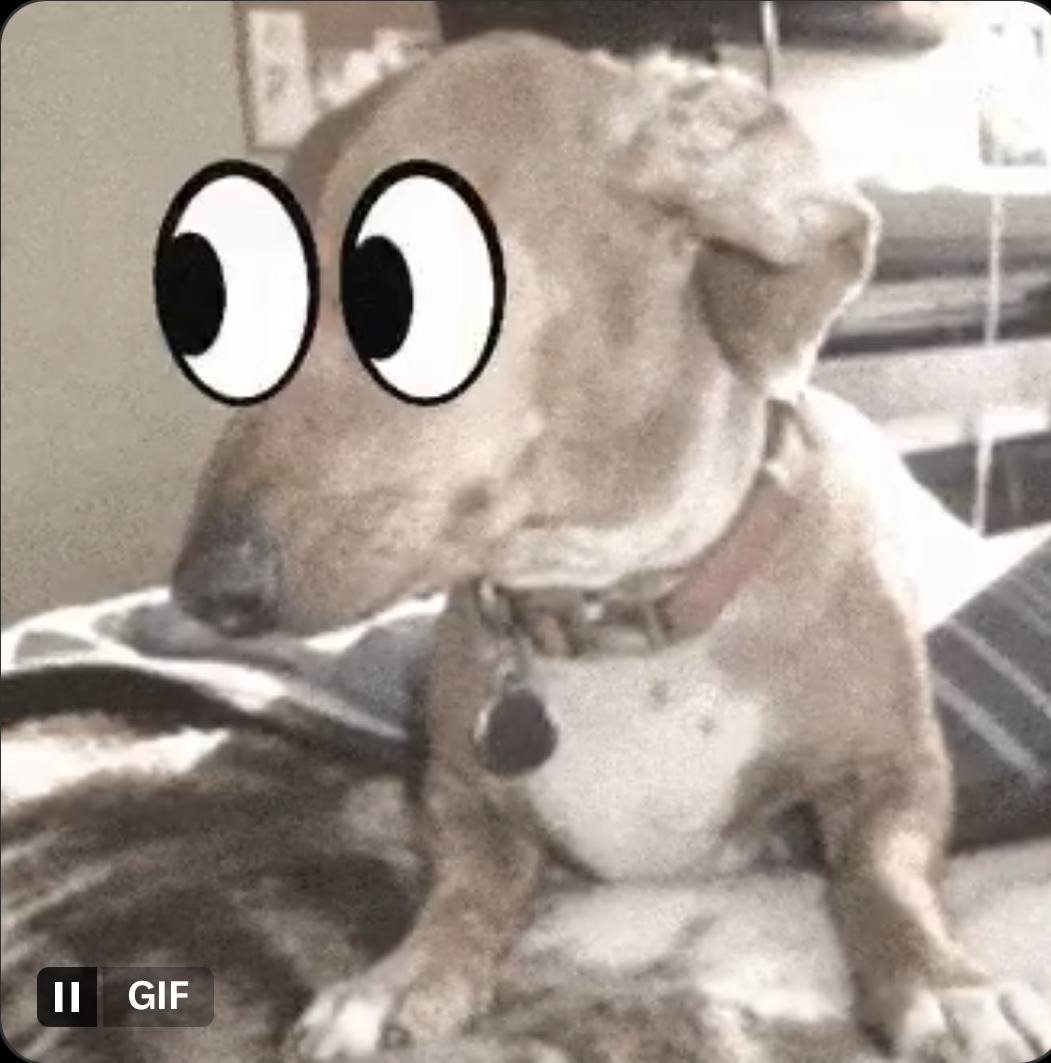 Noticing some motion rn 👀👀