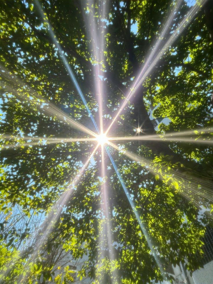 𓍊˖ ࣪⊹ (@goblinc0re) on Twitter photo 