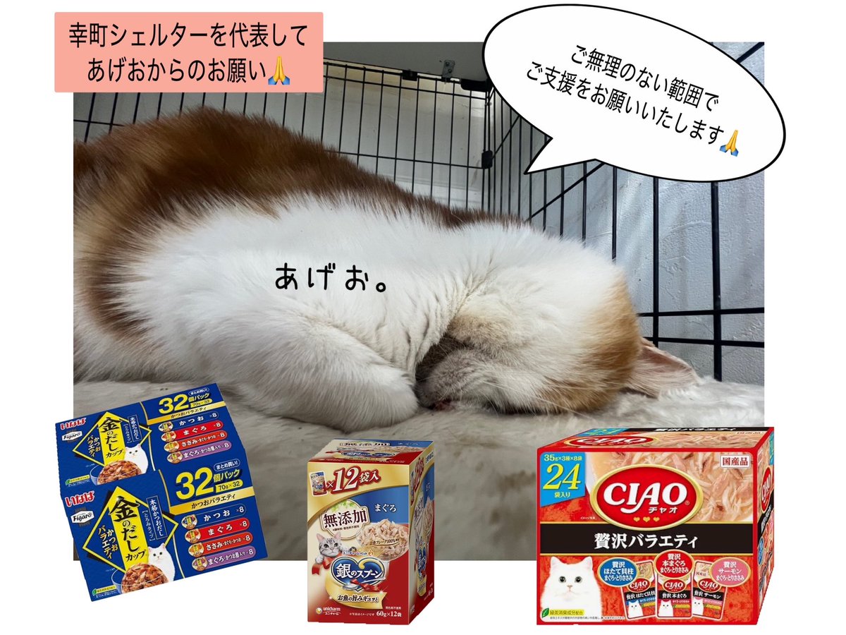 龍脈の精髄 クラスター 魂を浄化しご縁を結ぶ 売上一部保護猫活動に使用 公式】NPO法人にゃいるどはーと (@NPO48681819) / Posts / X