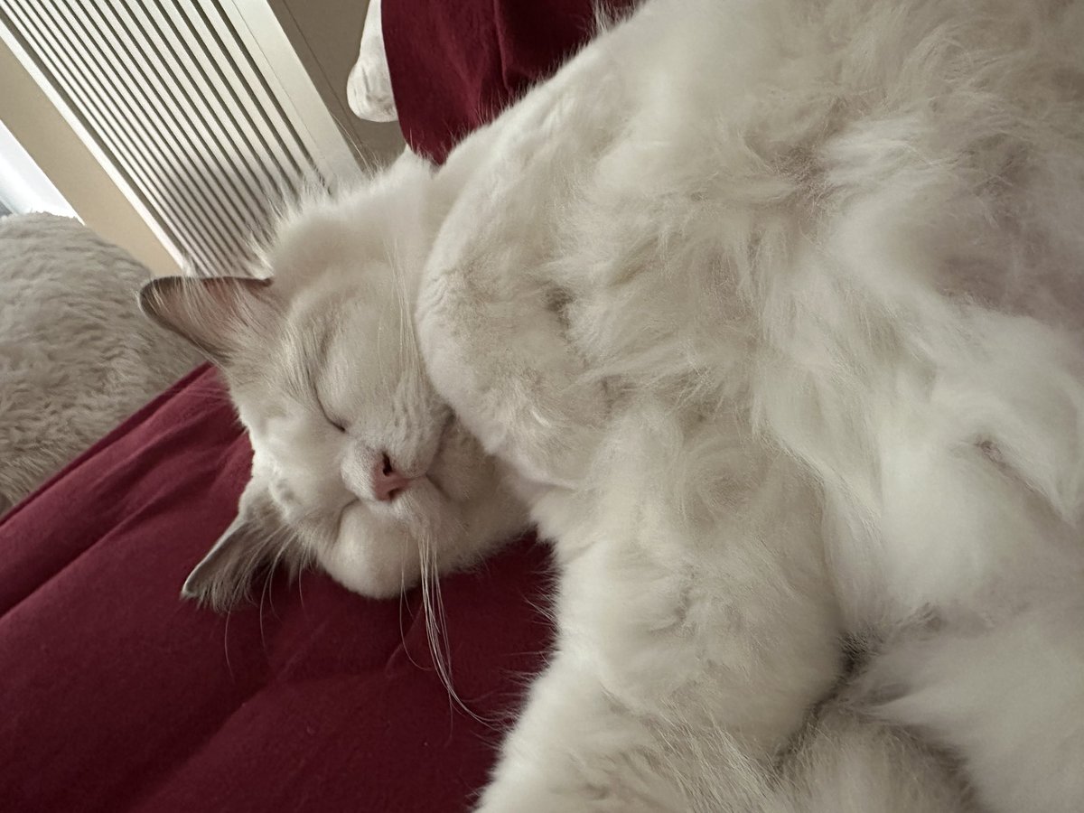 eastbayhero's tweet image. to socal &amp;lt;3 ggs