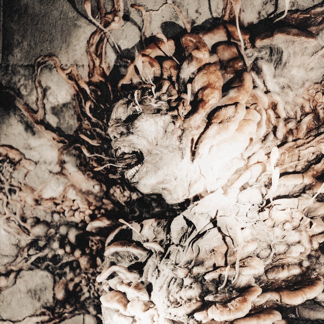 CPTNDINGUS's tweet image. ⠀ ⠀ ⠀⠀ ⠀ ⠀ ⠀ ⠀ ⠀ ⠀⠀ ⠀ ⠀ ⠀ ⠀⠀⠀ ⠀ ⠀⠀ ⠀ ⠀ ⠀ ᴺ͟ᴼ͟ 𝐏𝐀𝐑𝐄𝐍𝐓𝐒 , 𝐁𝐈𝐆 𝐇𝐎𝐔𝐒𝐄 . ⠀ ⠀ ⠀⠀ ⠀ ⠀ ⠀ ⠀⠀⠀⠀ ⠀⠀ ⠀ ⠀ ⠀ ⠀ ⠀ ⠀ ⠀ ⠀⠀ ⠀ ⠀ ⠀ ⠀⠀⠀⠀    #TLOURP  |  #MVRP ⠀ ⠀ ⠀ ⠀ ⠀⠀ ⠀ ⠀ ⠀ ⠀ ⠀ ⠀⠀ ⠀ ⠀ ⠀ ⠀⠀⠀ ⠀ ⠀⠀ ⠀