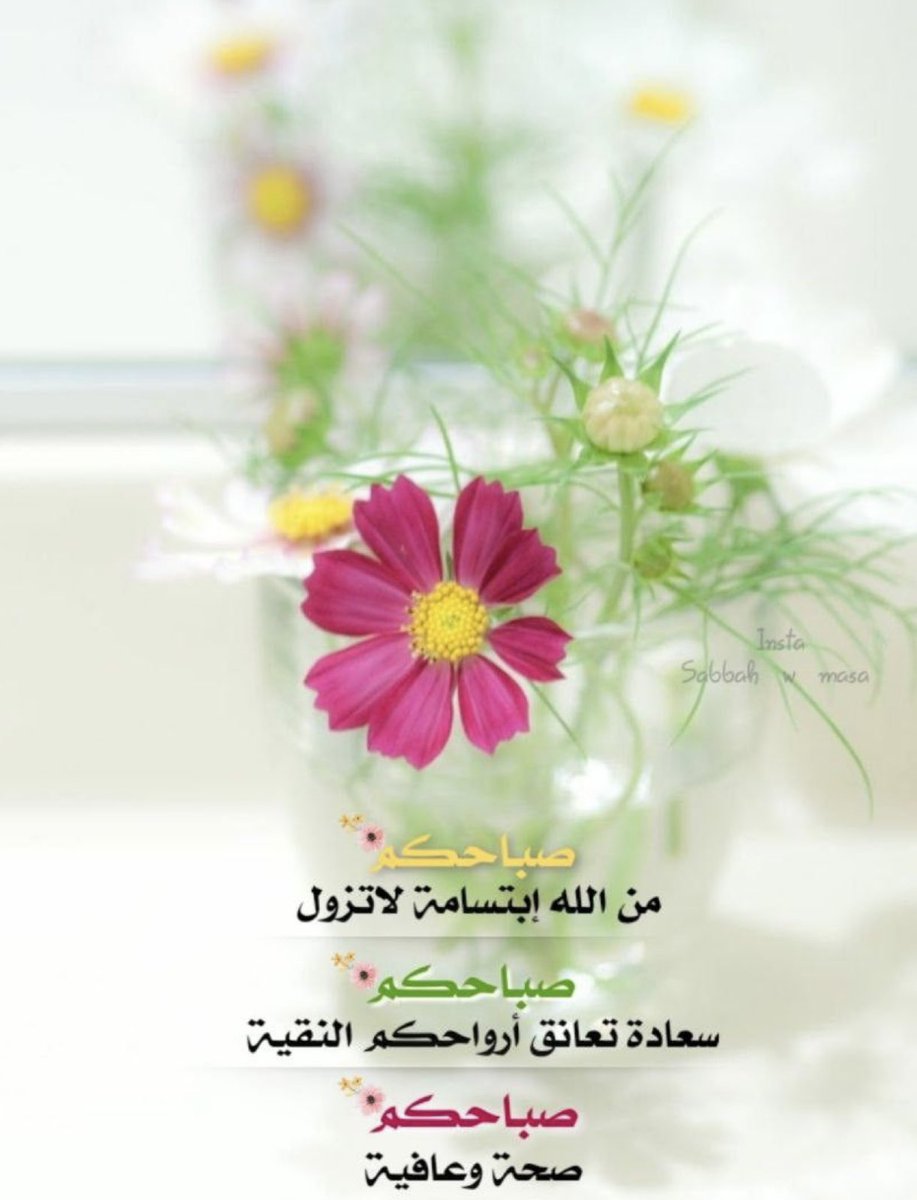 وبگ أصبحنا يا الله

طبتم وصباحكم بالخير والفلاح.🕊️🌷
