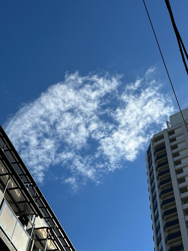 巻雲（Ci）を発見！ 🌤️
「巻雲（Ci）の観察」

#CloudWatcher #巻雲 #雲観察