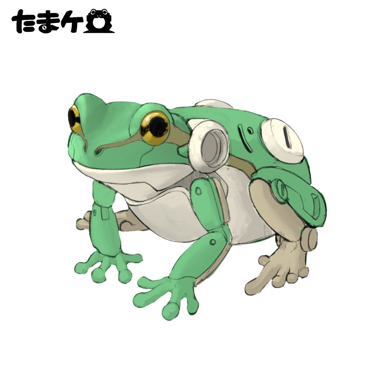 ワニャマル (@pakamaru17) / Posts / X