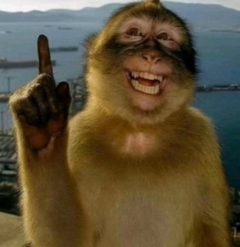 lsxrvq's tweet image. 