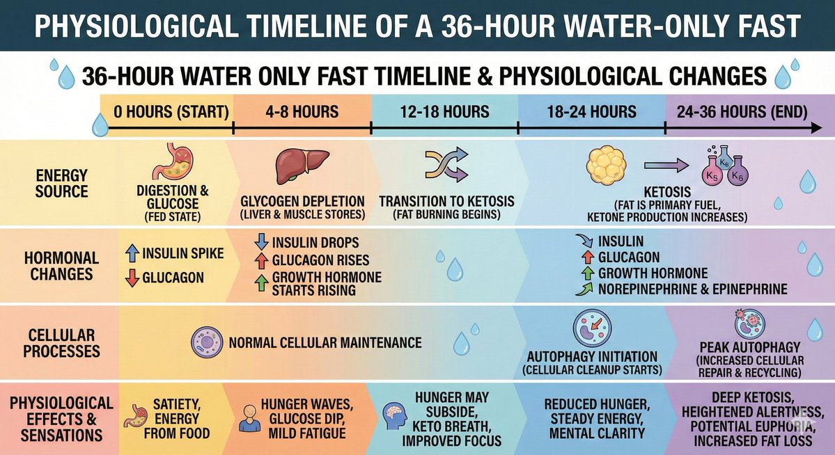 rarest_handle's tweet image. Fasting is as close as one can get to a silver bullet for physical and mental uplifting and well being.

PS: Infographic created by @NanoBanana. Gemini image gen is everything and more I could ask for