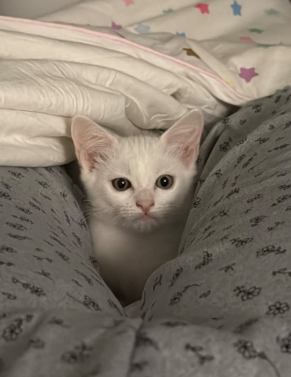 _DNVP2_'s tweet image. ใครดื้อ ไม่มี๊~