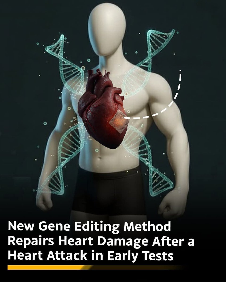 ShiningScience's tweet image. 💓 Scientists are teaching damaged hearts to heal themselves!

In animal studies, cutting-edge gene tools have helped injured hearts regain strength and grow healthier tissue in just weeks. While we’re still a step away from testing this in humans, this breakthrough could one day